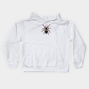 Spider Kids Hoodie